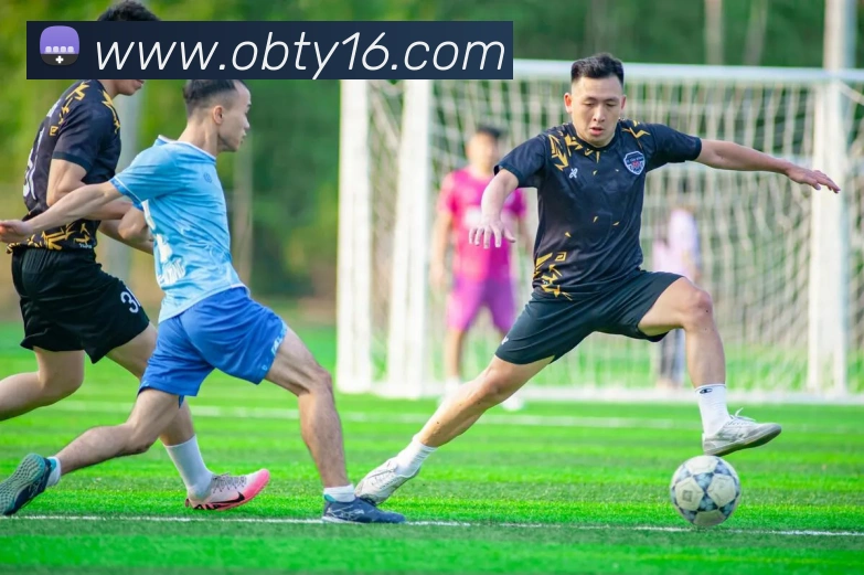 ob欧宝官网服务体系